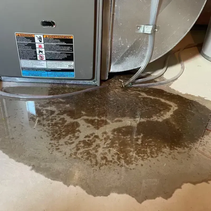 Appliance Leak Cleanup in Mendota, IL